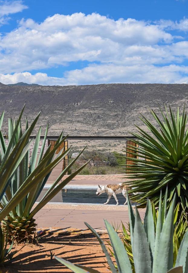 Casa Regina Oaxaca Villa San Pablo Villa de Mitla Exterior photo